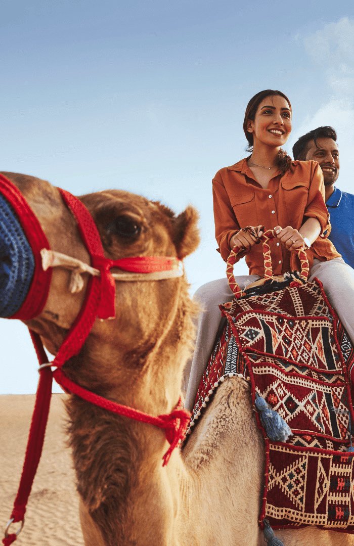 Camel Ride Through The Dunes