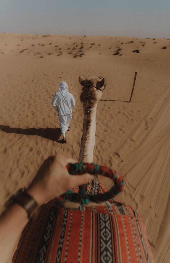 Camel Ride Through The Dunes